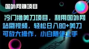 冷门撸美刀项目，利用国外网站刷视频，轻松日入80+美刀，可放大操作，小白随便上手|云雀资源分享