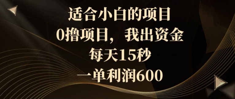 适合小白的项目，0撸项目，我出资金，每天15秒，一单利润600|云雀资源分享
