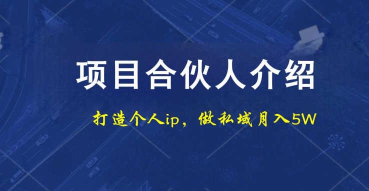 项目合伙人项目，打造个人IP，做私域月入5W，小白勿扰|云雀资源分享