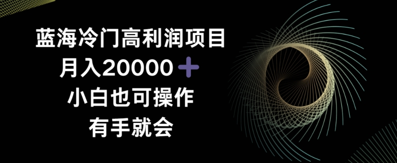 蓝海冷门高利润项目月入2000，小白也可操作有手就会|云雀资源分享
