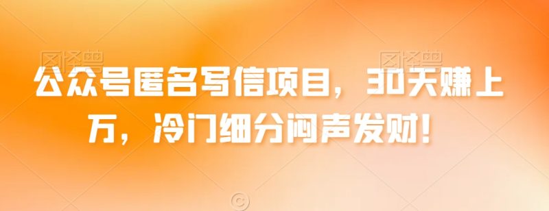 公众号匿名写信项目,30天赚上万,冷门细分闷声发财!|云雀资源分享