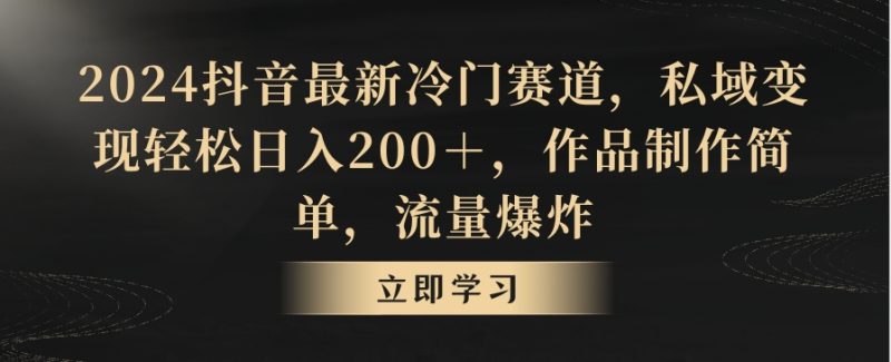 2024抖音最新冷门赛道,私域变现轻松日入200+,作品制作简单,流量爆炸|云雀资源分享