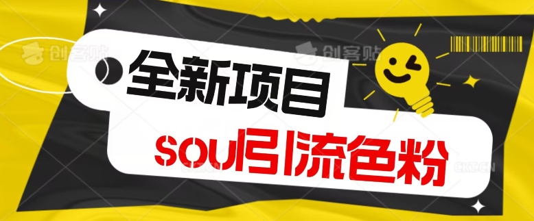 全新风口项目，soul精准引流私域变现，单身经济，无限放大，单日引流1000加轻轻松松|云雀资源分享