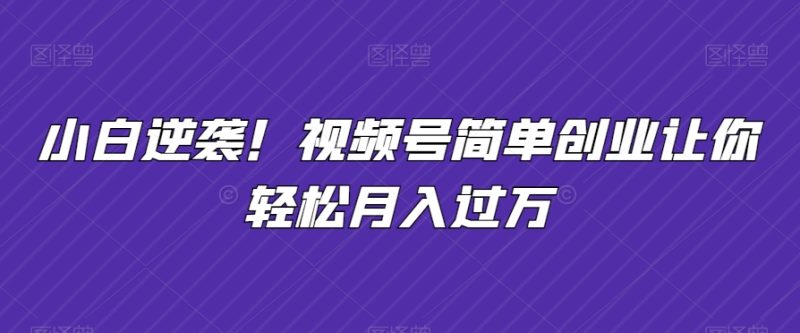 小白逆袭！视频号简单创业让你轻松月入过万|云雀资源分享