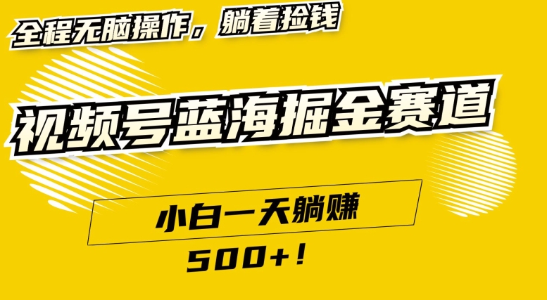 视频号蓝海小众赛道，小白一天躺赚500+，全程无脑操作，保姆式教学|云雀资源分享