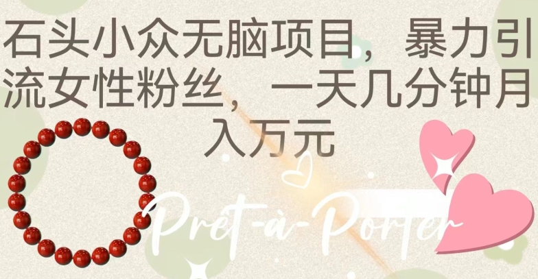 石头小众无脑项目，暴力引流女性粉丝，一天几分钟月入万元|云雀资源分享