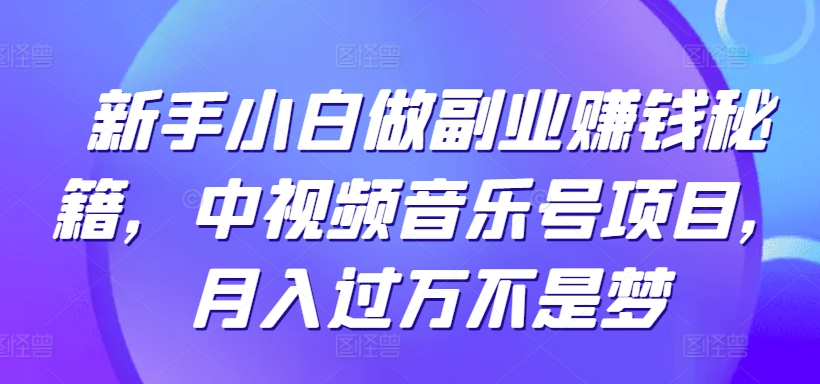 新手小白做副业赚钱秘籍，中视频音乐号项目，月入过万不是梦|云雀资源分享