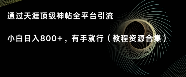 天涯顶级神帖项目，全平台引流小白日入800+，有手就行(内含教程资源合集)|云雀资源分享
