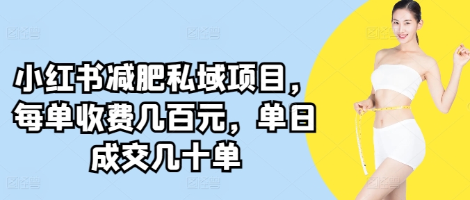 小红书减肥私域项目，每单收费几百元，单日成交几十单|云雀资源分享