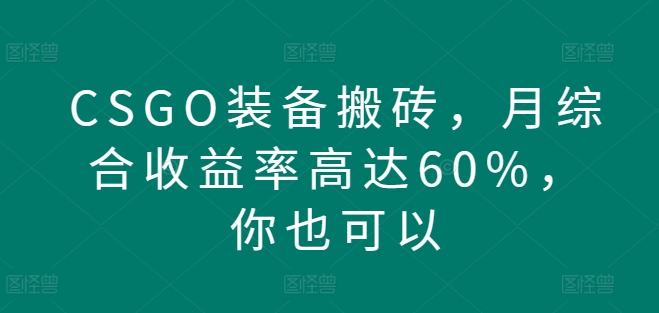 CSGO装备搬砖，月综合收益率高达60%，你也可以|云雀资源分享