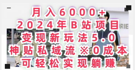 月入6000+，2024年B站项目变现新玩法5.0.神贴私域流0成本，可轻松实现躺赚|云雀资源分享