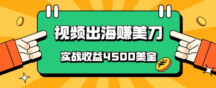 国内爆款视频出海赚美刀，实战收益4500美金，批量无脑搬运，无需经验直接上手|云雀资源分享