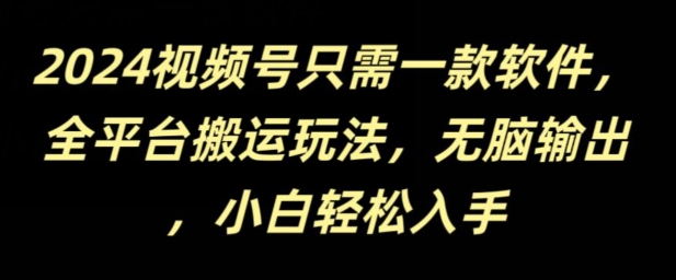 2024视频号只需一款软件，全平台搬运玩法，无脑输出，新手小白也能月入过千|云雀资源分享