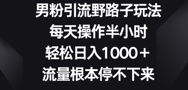 男粉引流野路子玩法，每天操作半小时轻松日入1000+，流量根本停不下来|云雀资源分享