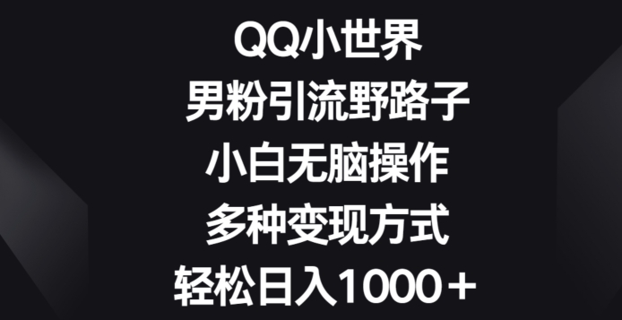 QQ小世界男粉引流野路子，小白无脑操作，多种变现方式轻松日入1000+|云雀资源分享