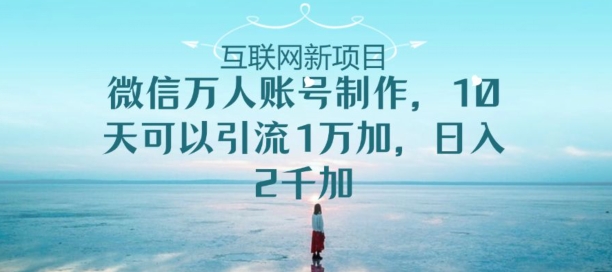 微信万人账号制作，10天可以引流1万加日入2千加|云雀资源分享