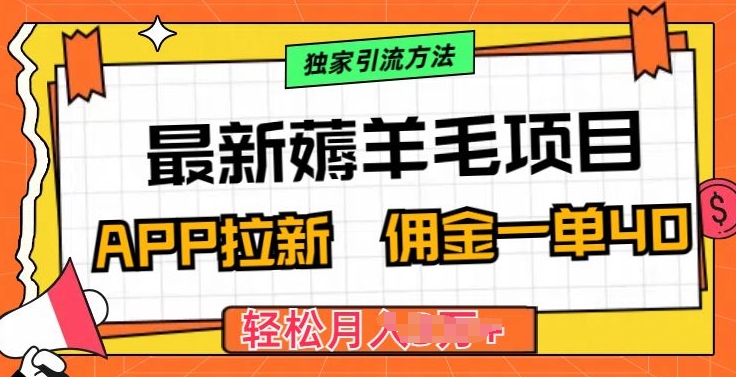 最新薅羊毛项目，利用购物APP拉新，佣金一单40.配合独家引流方法|云雀资源分享