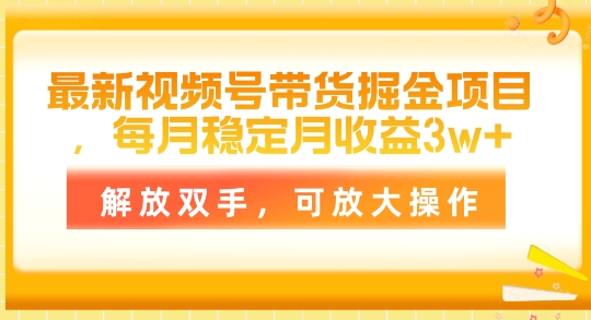 最新视频号带货掘金项目，每月稳定月收益1w+，解放双手，可放大操作|云雀资源分享