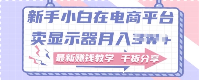 新手小白如何做到在电商平台卖显示器，最新赚钱教学干货分享|云雀资源分享