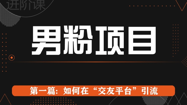 男粉项目系列课程第一篇: Soul暴力引流|云雀资源分享