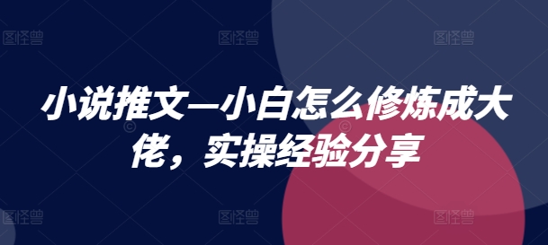 小说推文—小白怎么修炼成大佬，实操经验分享|云雀资源分享