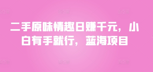 二手原味情趣日赚千元，小白有手就行，蓝海项目|云雀资源分享