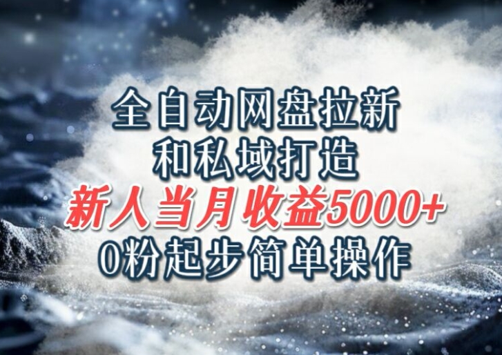 全自动网盘拉新和私域打造，0粉起步简单操作，新人入门当月收益5000以上|云雀资源分享