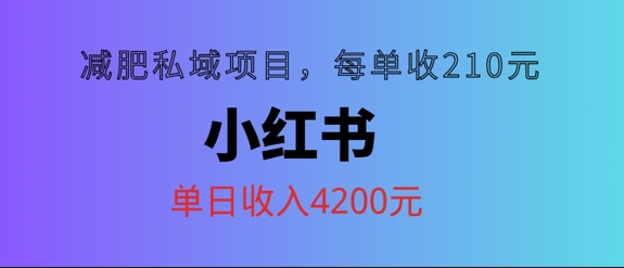 小红书减肥私域项目，每单210元，单日可卖出15单，利润3150|云雀资源分享