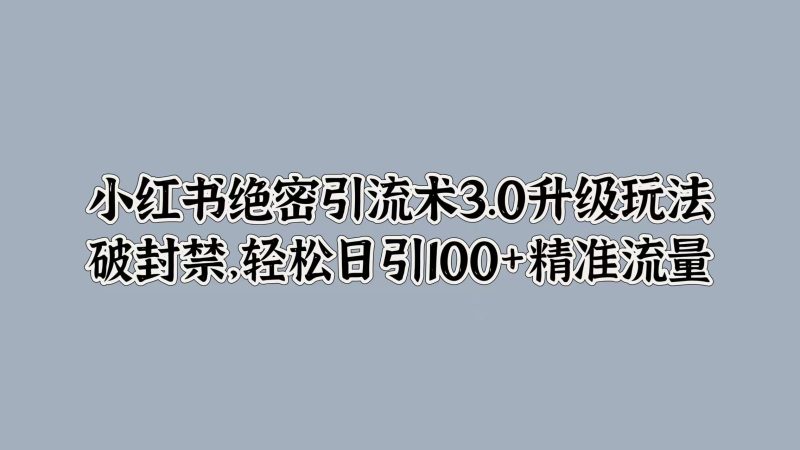 小红书绝密引流术3.0升级玩法,破封禁,轻松日引100+精准流量|云雀资源分享