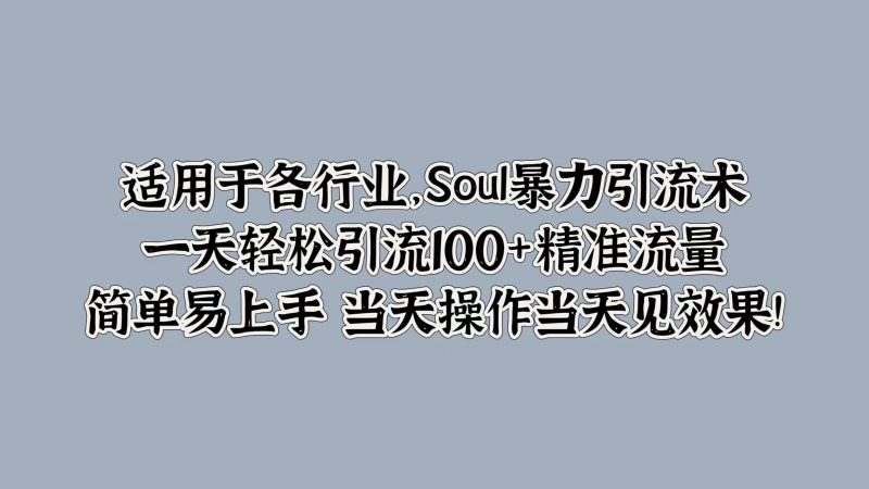 Soul暴力引流术，一天轻松引流100+精准流量，简单易上手 当天操作当天见效果!|云雀资源分享