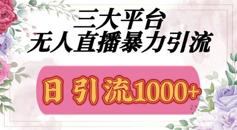 三大平台无人直播引流，吸引精准创业粉|云雀资源分享