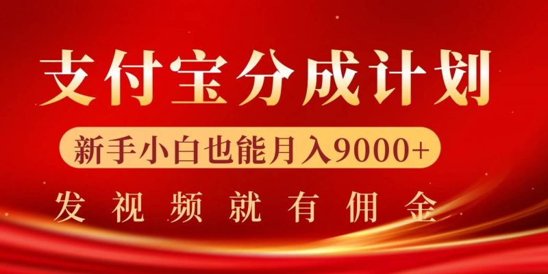 支付宝视频分成计划，一万播放200-300+，抓紧来干|云雀资源分享