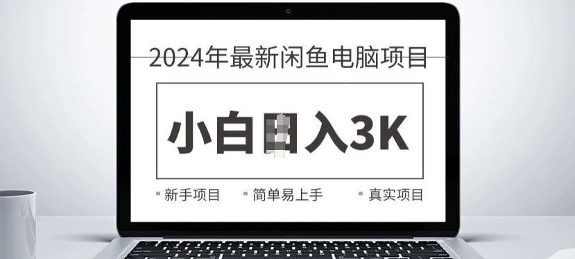 2024最新闲鱼电脑项目，动手就能吃肉的好项目|云雀资源分享