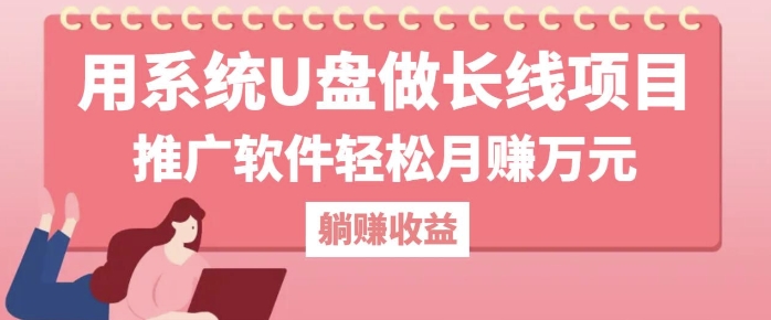 用系统U盘做长线项目，推广软件轻松月入过W|云雀资源分享