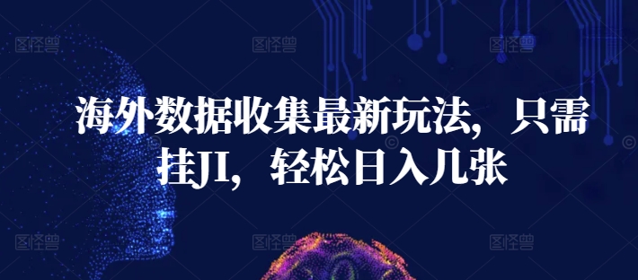 海外数据收集最新玩法，只需挂JI，轻松日入几张|云雀资源分享