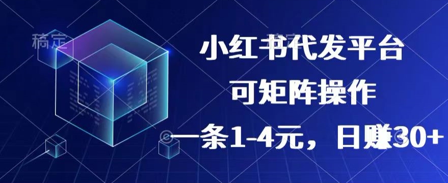 【小红书 抖音】代发平台，一条1~4元，日赚30 的靠谱小项目，可矩阵操作