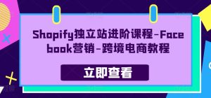 图片[1]-Shopify自建站升阶课程内容-Facebook营销推广-跨境电子商务实例教程-中创网_分享创业资讯_网络项目资源