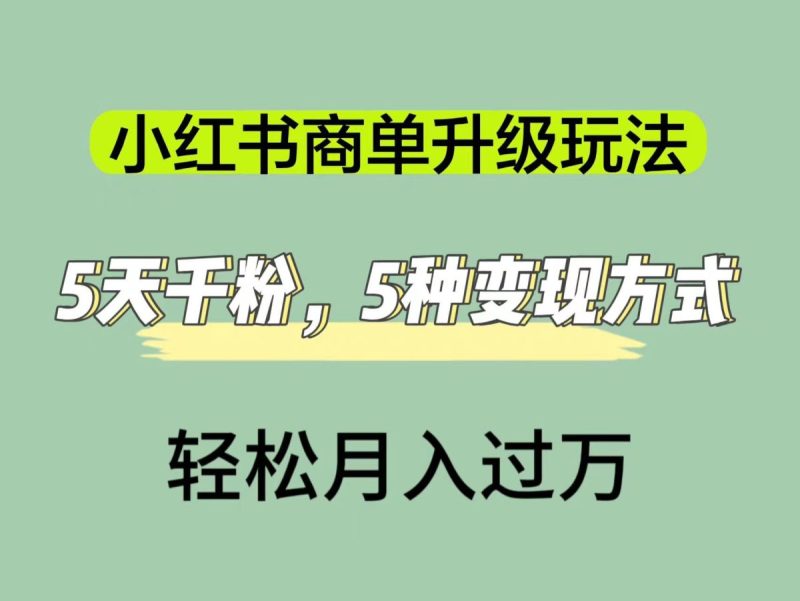 小红书的商单升级玩法，5天千粉，5种变现渠道，轻轻松松月入1万|云雀资源分享