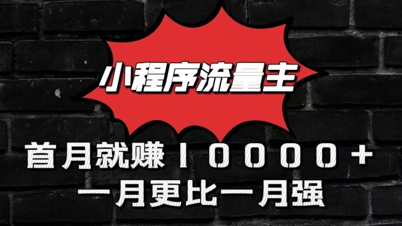 小程序流量主首月就赚10000+，一月更比一月强！小本创业首选|云雀资源分享