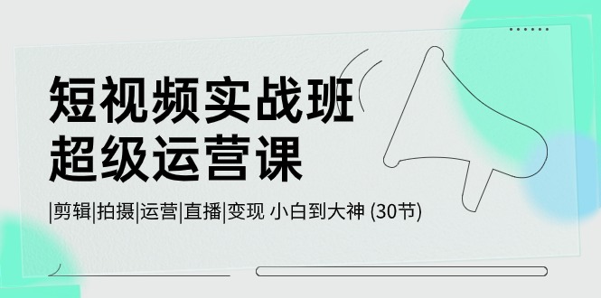 短视频实战班超级运营课 |剪辑|拍摄|运营|直播|变现 小白到大神 (30节)|云雀资源分享