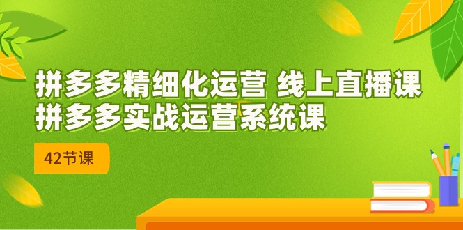 拼多多精细化运营 线上直播课：拼多多实战运营系统课（更新47节）|云雀资源分享