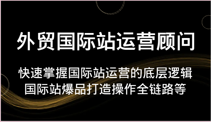 外贸国际站运营顾问-快速掌握国际站运营的底层逻辑，国际站爆品打造操作全链路等|云雀资源分享