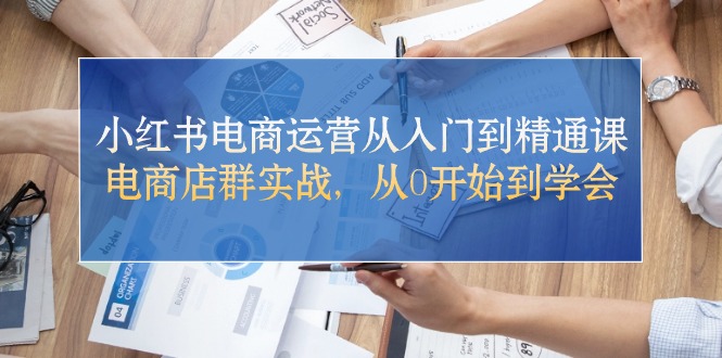 小红书电商运营从入门到精通课，电商店群实战，从0开始到学会|云雀资源分享