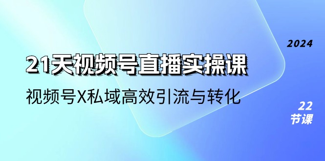 21天视频号直播实操课，视频号X私域高效引流与转化（22节课）|云雀资源分享
