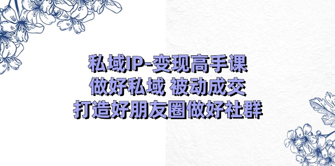 公域IP转现大神课：搞好公域处于被动交易量，打造好微信朋友圈搞好社群营销（18节）|云雀资源分享