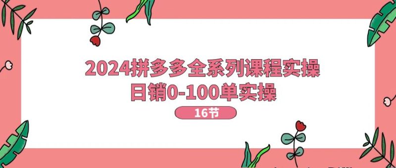 2024拼多多平台全主题课程实际操作,日销0-100单实际操作【16堂课】|云雀资源分享