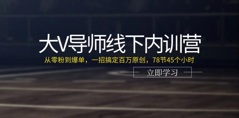大V老师线下推广内部培训营:从零粉到打造爆款,一招解决上百万原创设计(78节45小时)|云雀资源分享