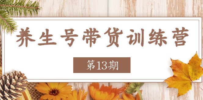 健康养生号卖货夏令营【第13期】盈利更稳定的游戏玩法，使你卖货盈利发生爆炸|云雀资源分享