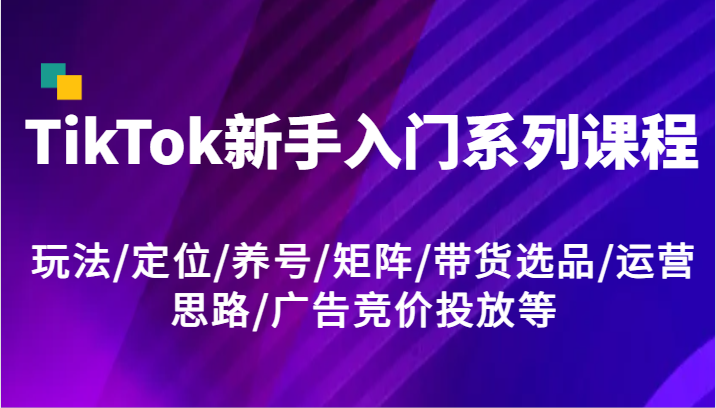 TikTok新手入门系列课程，玩法/定位/养号/矩阵/带货选品/运营思路/广告竞价投放等|云雀资源分享