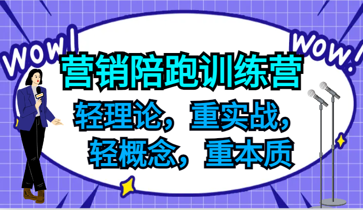 营销推广陪跑夏令营，轻基础理论，重实战演练，轻定义，重实质，适宜中小企业和初创企业的老总|云雀资源分享